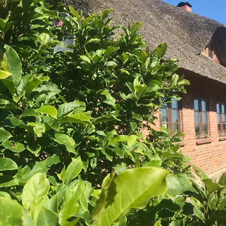 Familie Manthei Lägenhet *