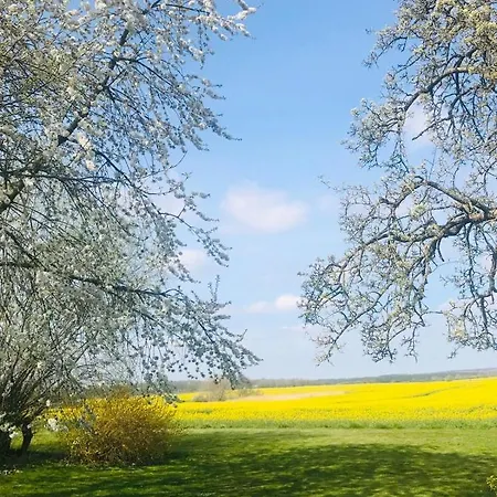 Lägenhet Familie Manthei